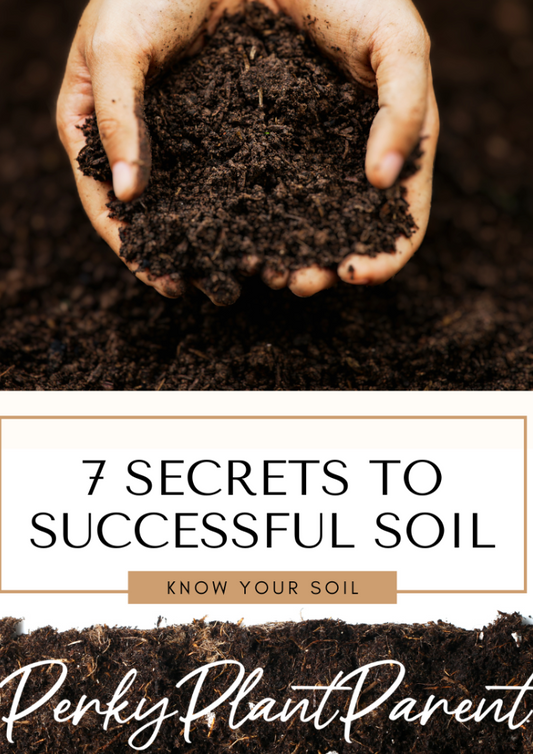 7 Secrets to Successful Soil