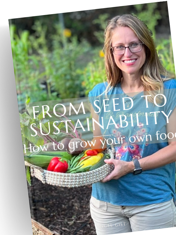 From Seed to Sustainability - How to Grow your own Food