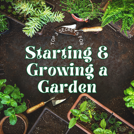 Top 3 Secrets to Growing a Garden