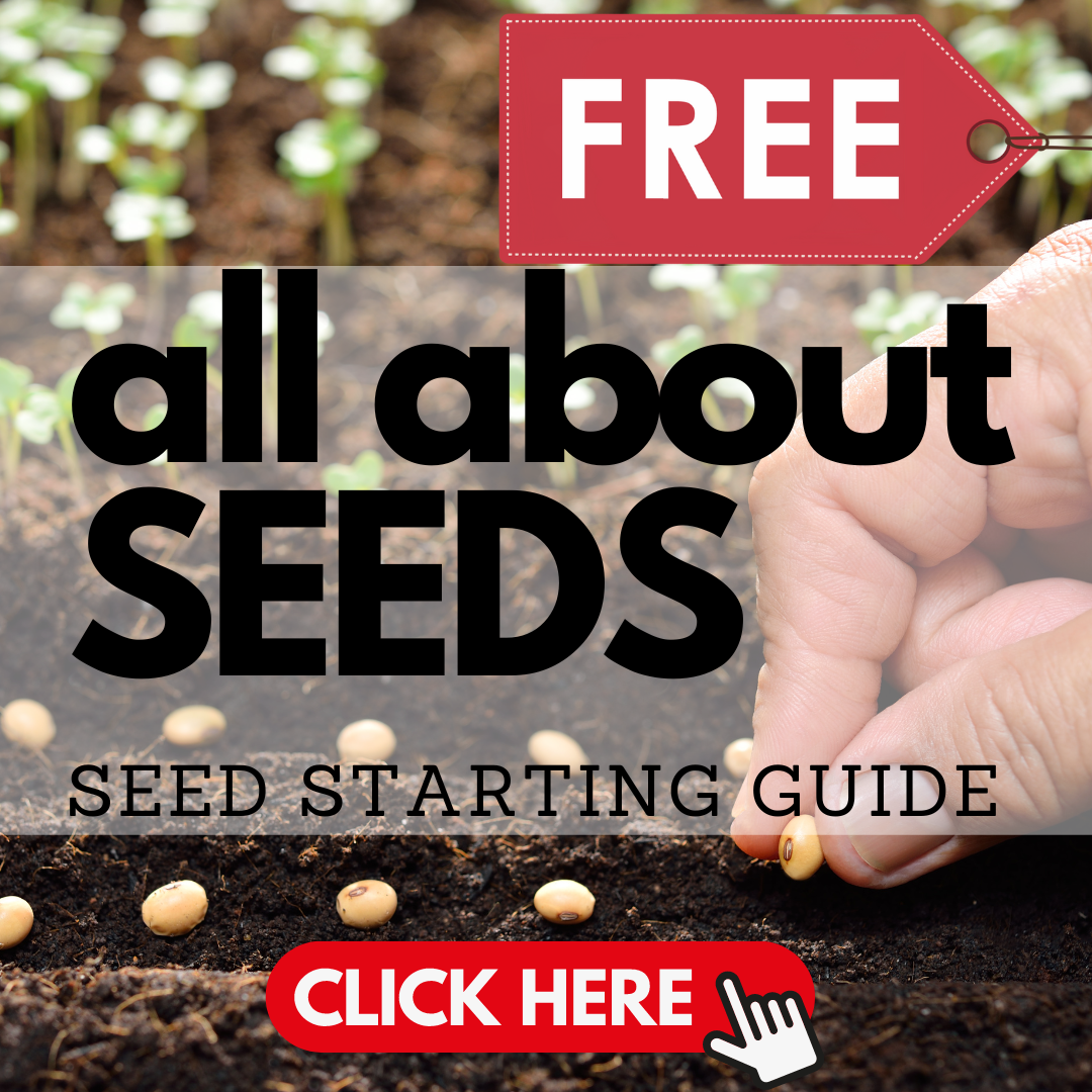 Seed Starting Guide – PerkyPlantParent.shop